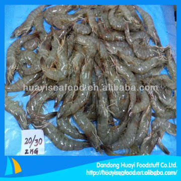 new frozen shrimp scientific name of shrimp vannamei shrimp